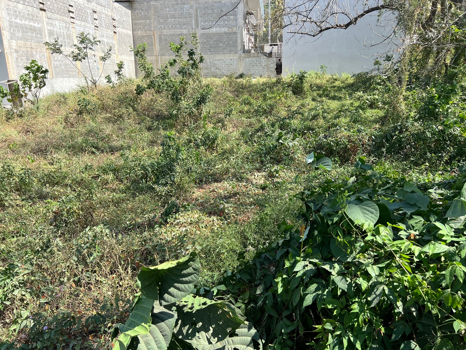 Comercial or Residendial Lot by the Crossroads — photo 12 of 19