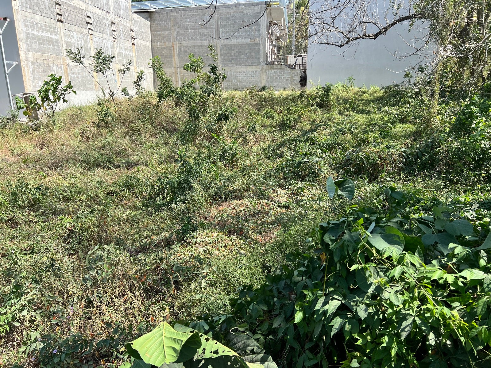 Comercial or Residendial Lot by the Crossroads — photo 19 of 19
