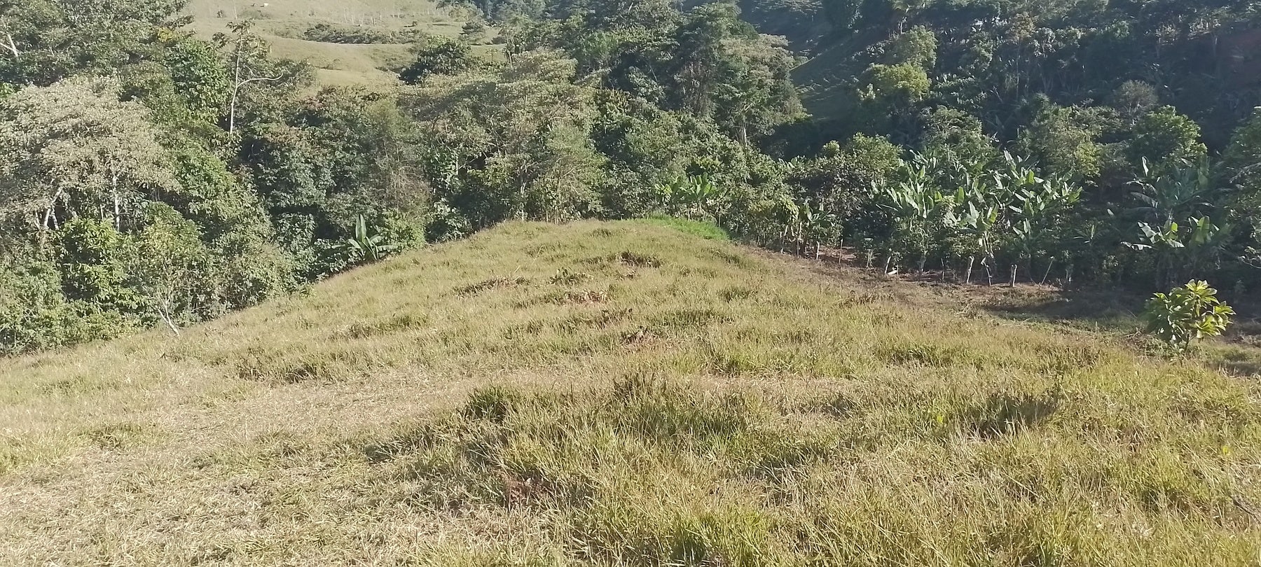 Private Mountain View Lot, Perez Zeledon, Platanares, Perez Zeledon, San Jose, Costa Rica 11906 — photo 3 of 5