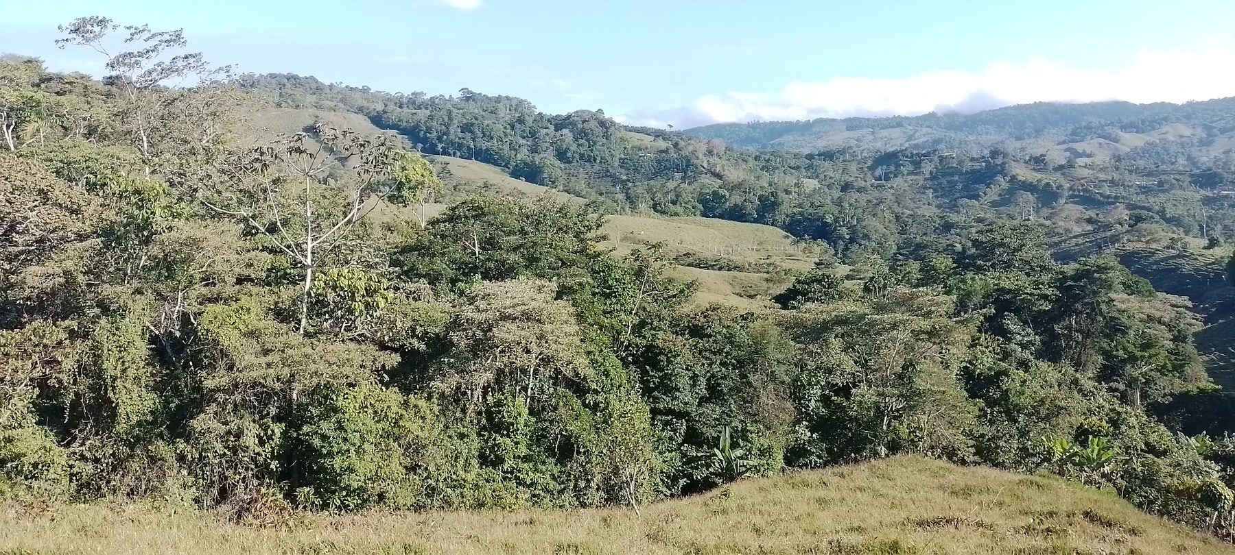 Private Mountain View Lot, Perez Zeledon, Platanares, Perez Zeledon, San Jose, Costa Rica 11906