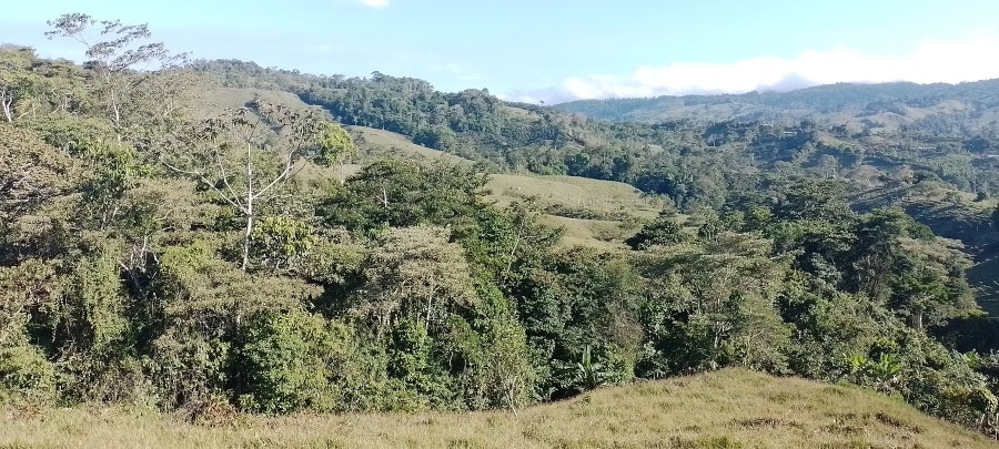 Property photo for Private Mountain View Lot , Perez Zeledon, Platanares, Perez Zeledon, San Jose, Costa Rica
