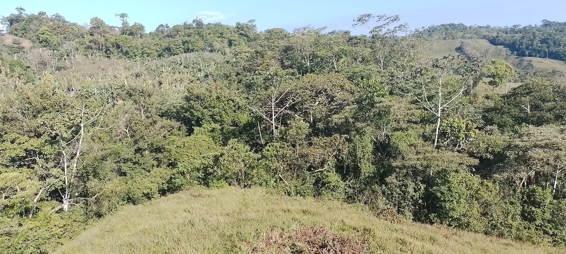 Private Mountain View Lot, Perez Zeledon, Platanares, Perez Zeledon, San Jose, Costa Rica 11906 — photo 4 of 5