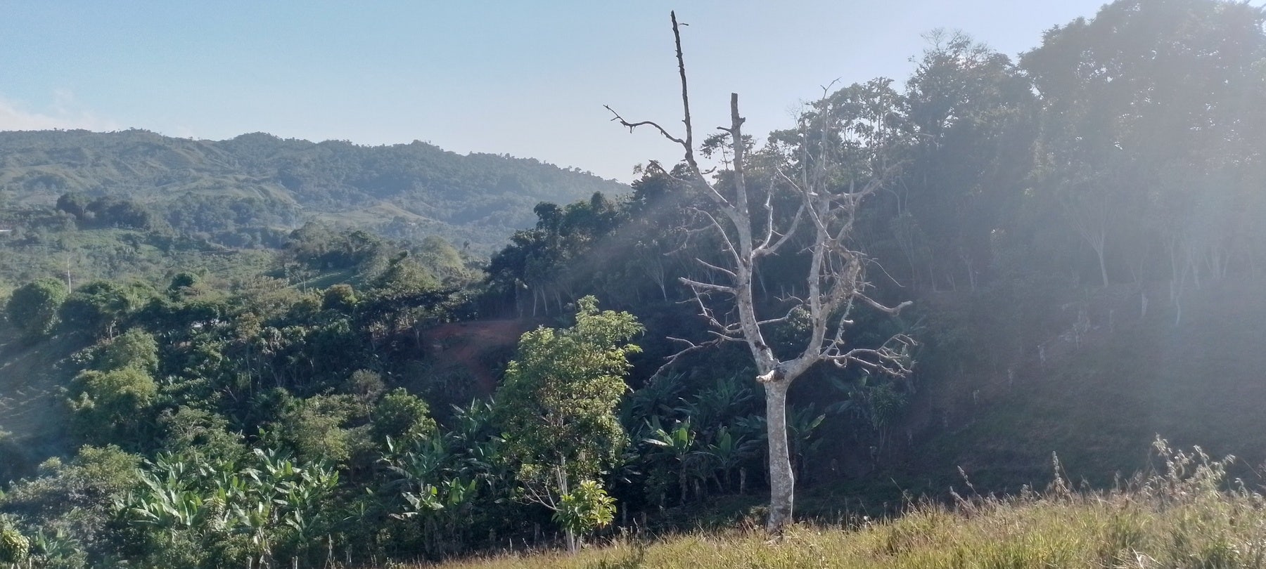 Private Mountain View Lot, Perez Zeledon, Platanares, Perez Zeledon, San Jose, Costa Rica 11906 — photo 2 of 5