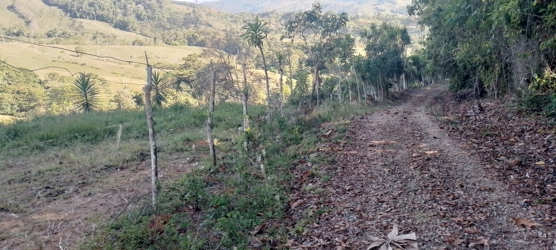 Private Mountain View Lot — photo 9 of 15