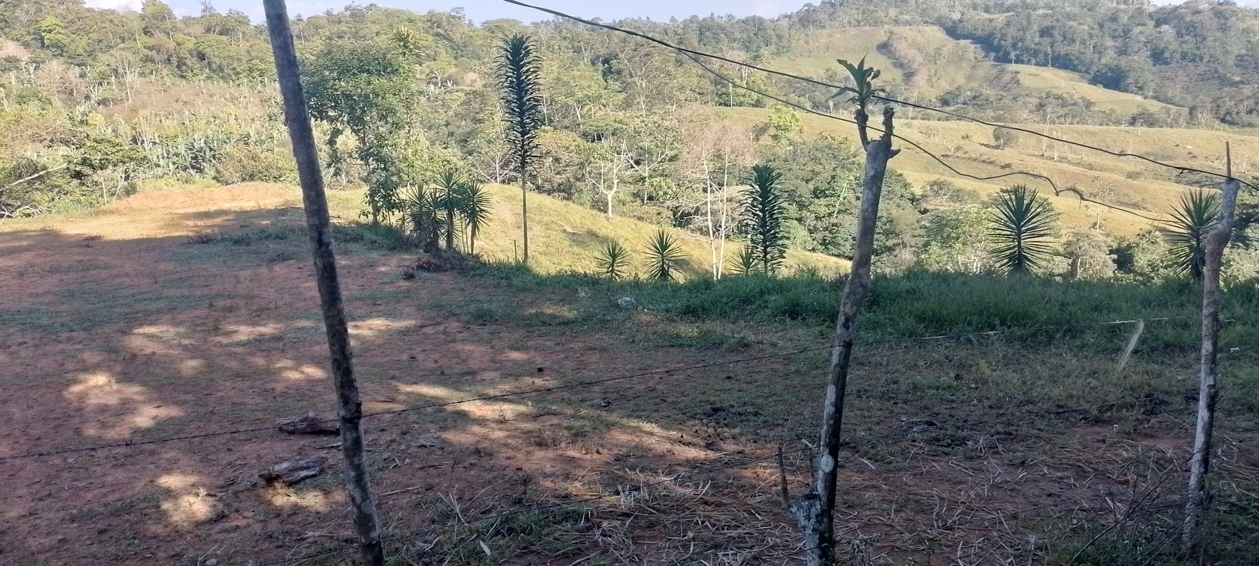 Private Mountain View Lot — photo 10 of 15