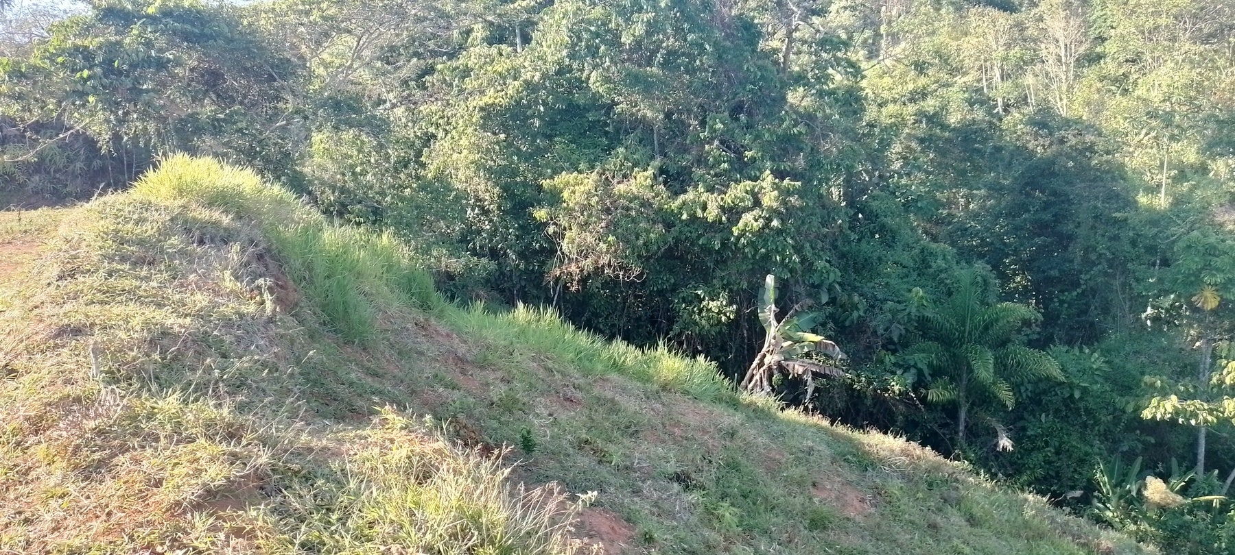 Private Mountain View Lot — photo 11 of 15