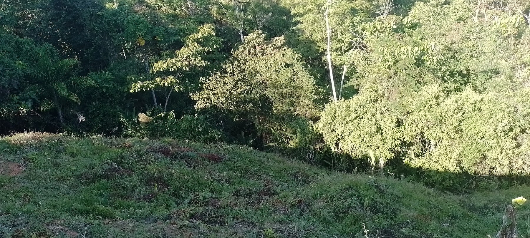 Private Mountain View Lot — photo 14 of 15