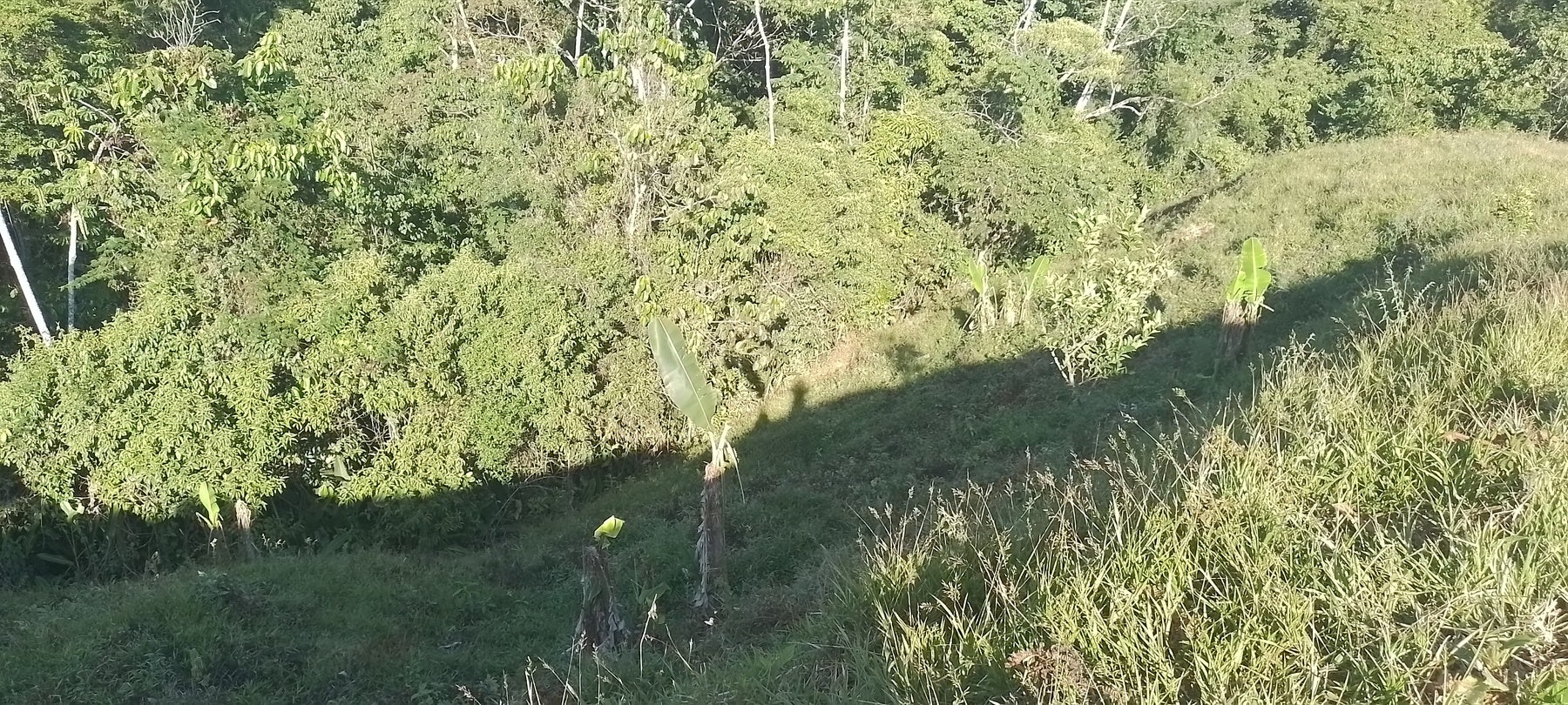Private Mountain View Lot — photo 15 of 15
