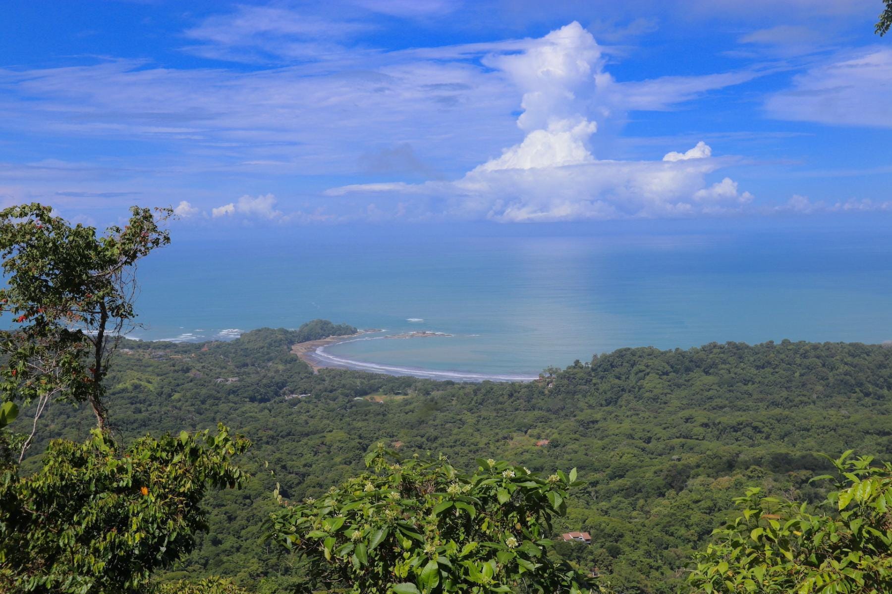 Panoramic Ocean View Property, Dominical, Baru, Osa, Puntarenas, Costa Rica 60504