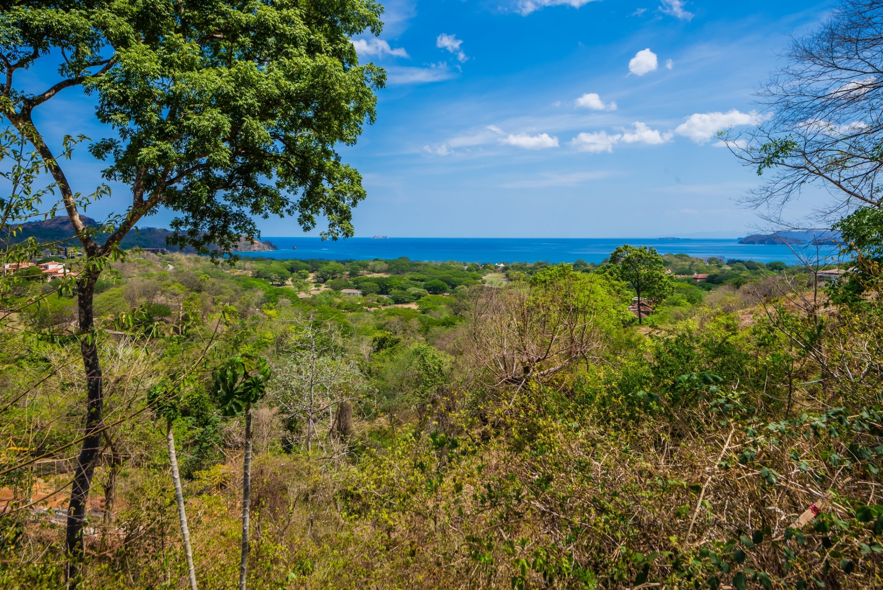 Prime Lot With Ocean View — photo 4 of 17