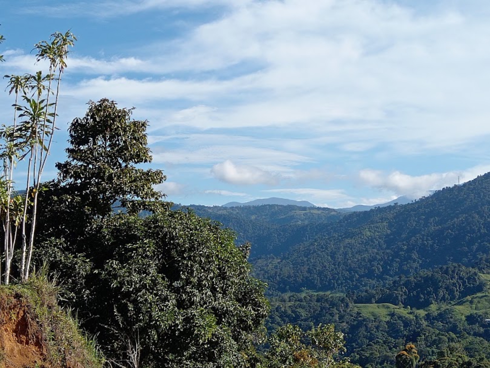 Finca Vista Hermosa, Tinamastes, Perez Zeledon, Baru, San Jose, San Jose, Costa Rica 11909, Tinamastes
