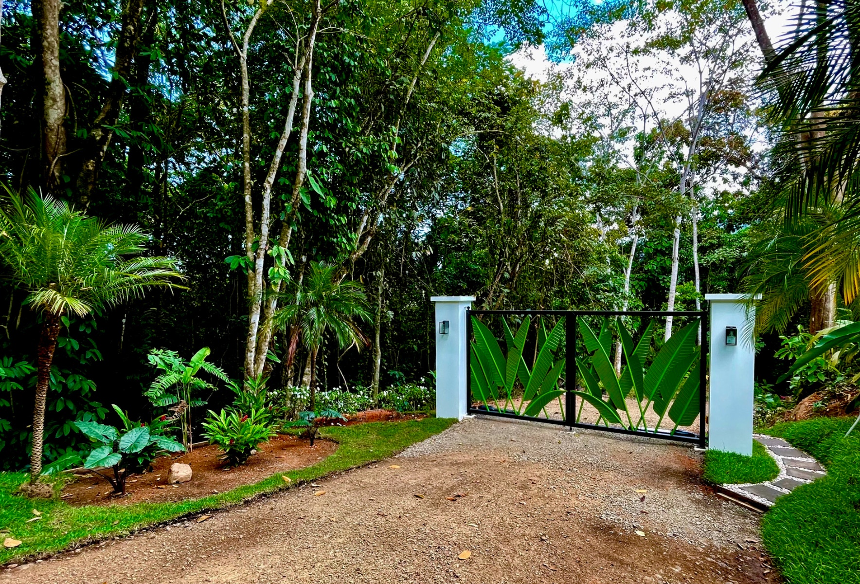 Tres Rios Wildlife Land, Tres Rios, Ojochal, Puerto Cortes, Osa ...