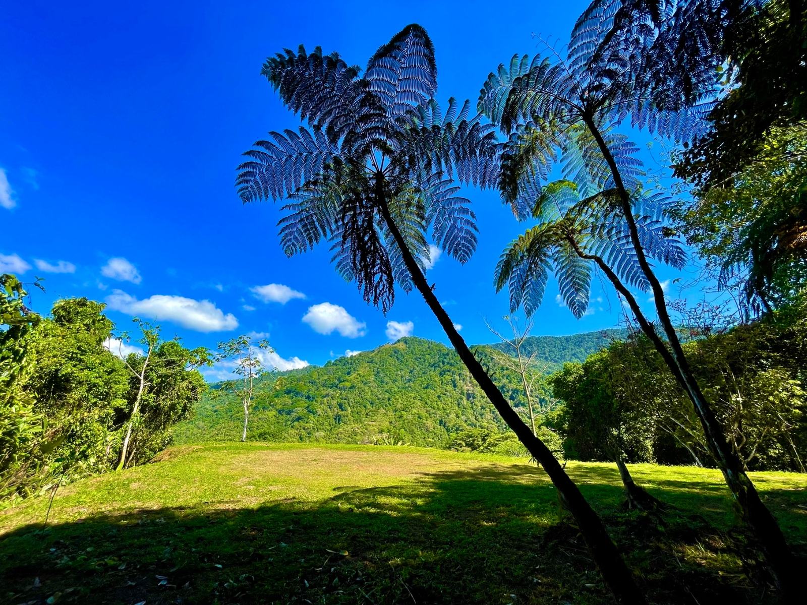 Tres Rios Wildlife Land, Tres Rios, Ojochal, Puerto Cortes, Osa ...