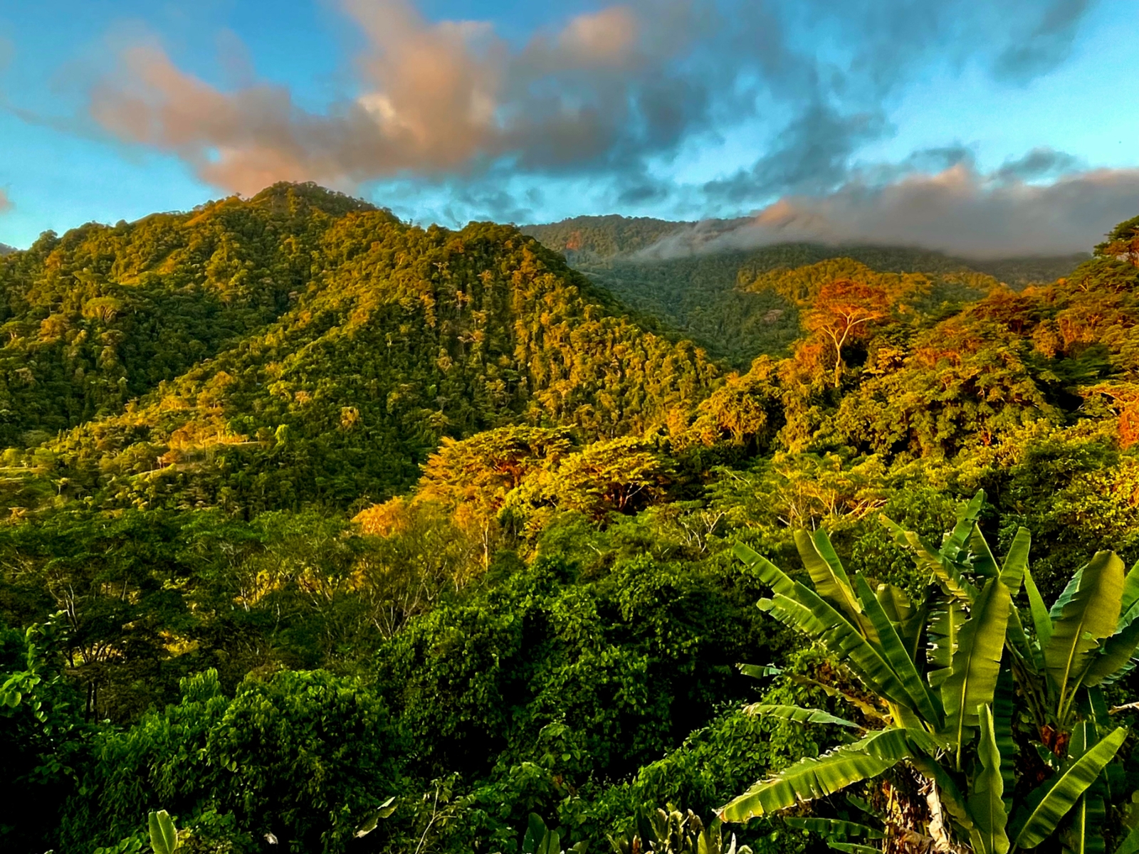 Tres Rios Rivers Tres Rios Wildlife Land, Tres Rios, Ojochal, Puerto Cortes, Osa ...