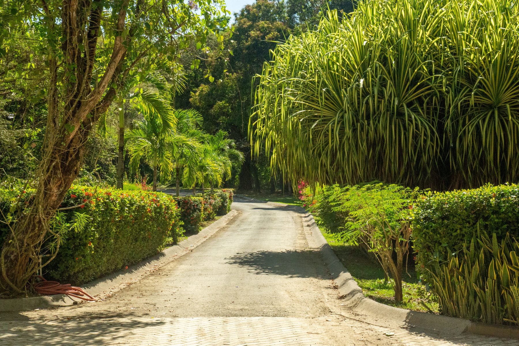 Beautiful Lote in Finca Montaña Nosara, Nosara, Nosara, Guanacaste, Costa Rica 50303