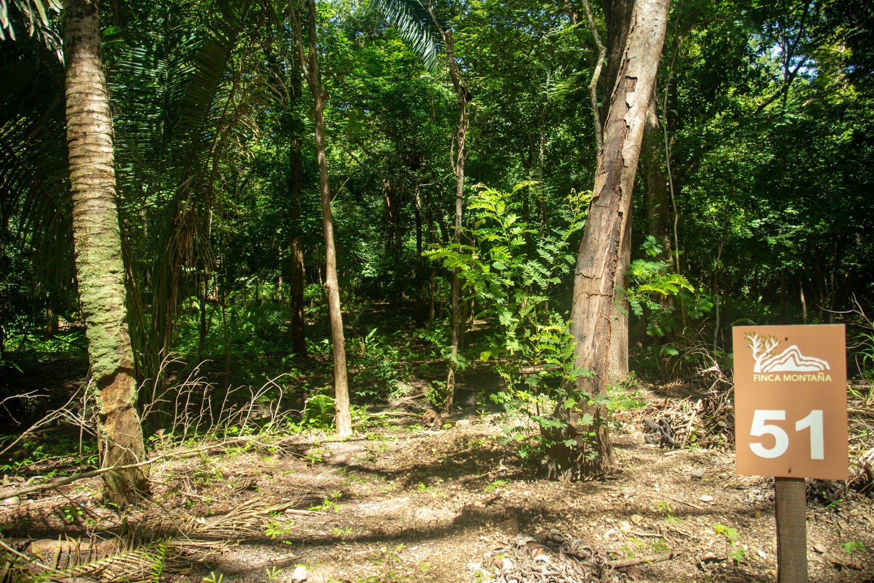 Beautiful Lote in Finca Montaña Nosara — photo 2 of 6