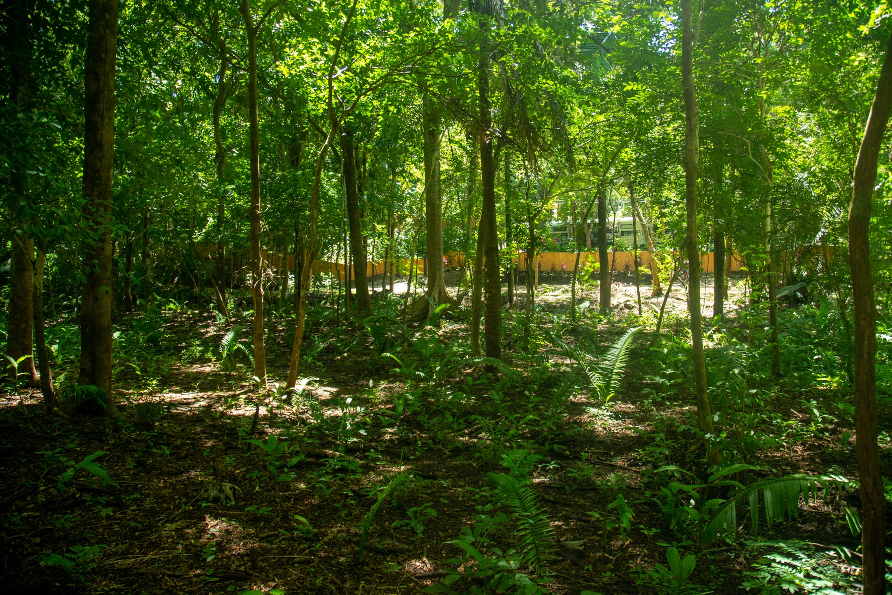 Beautiful Lote in Finca Montaña Nosara — photo 3 of 6