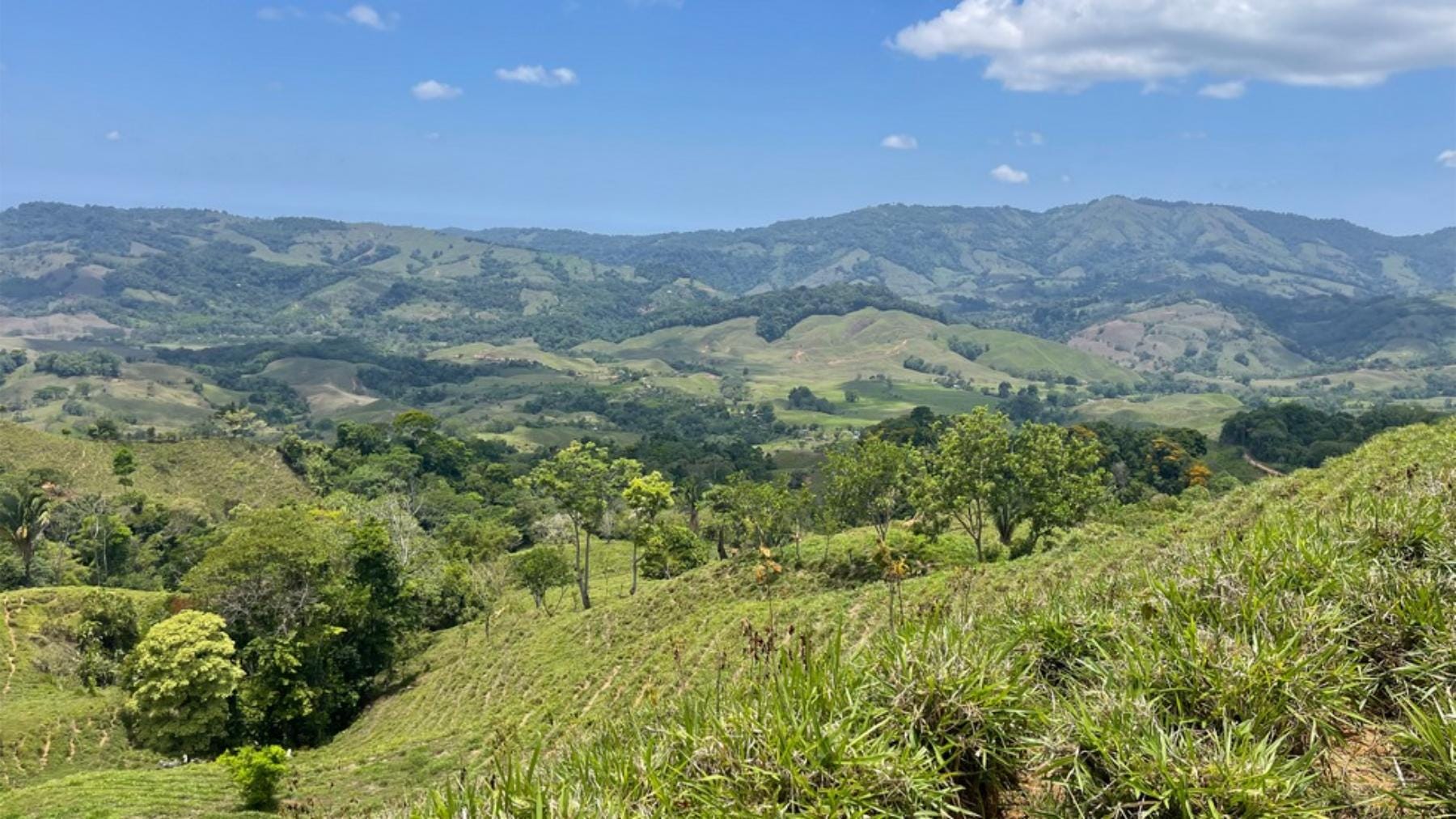 San Juan De Dios Farm With House, San Juan De Dios, Tinamastes, Perez Zeledon, Perez Zeledon, San Jose, Costa Rica, Tinamastes