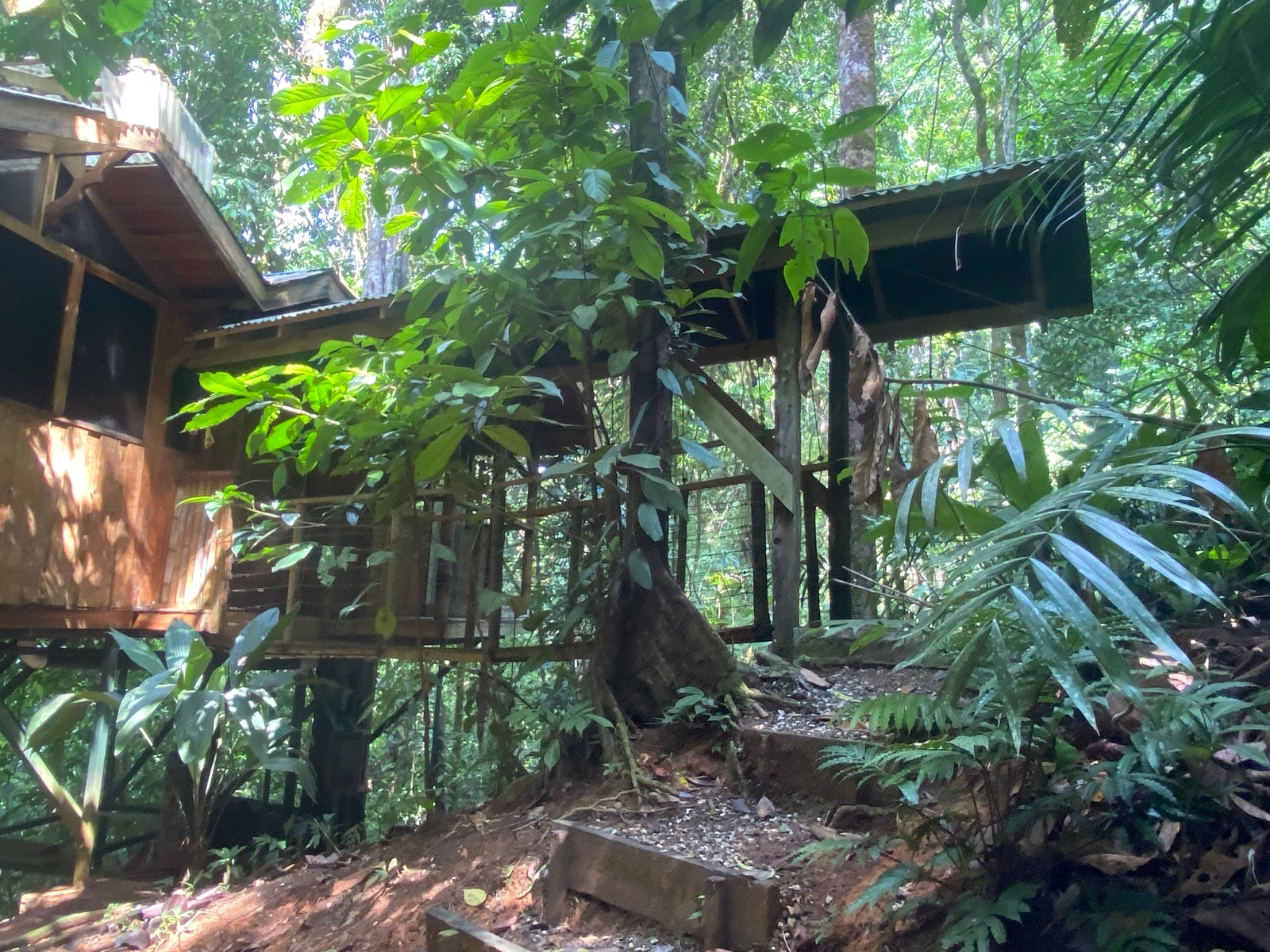Sustainable Community House — photo 4 of 18