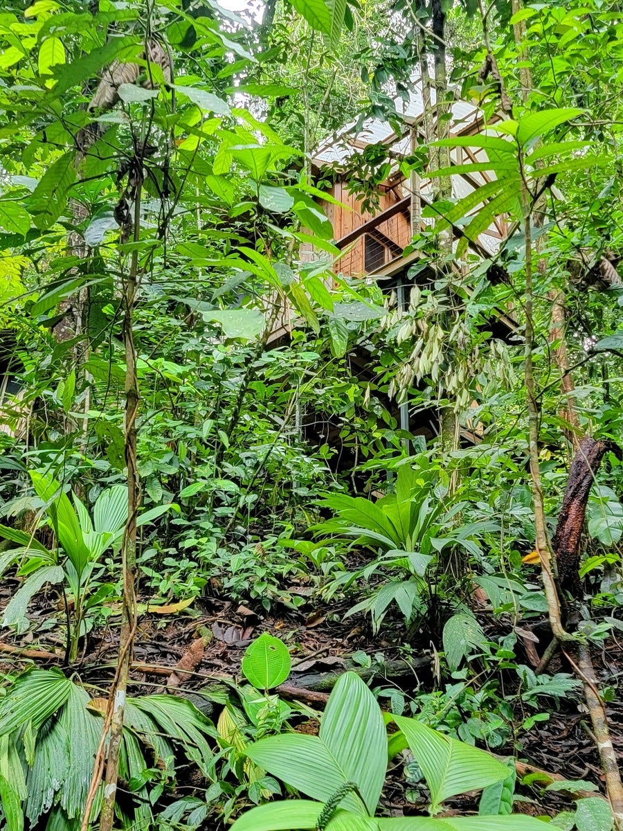 Sustainable Community House — photo 18 of 18