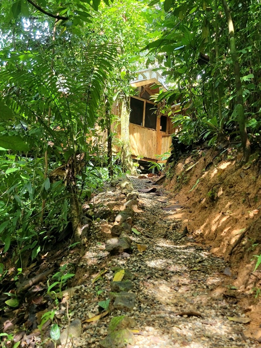 Sustainable Community House — photo 14 of 18