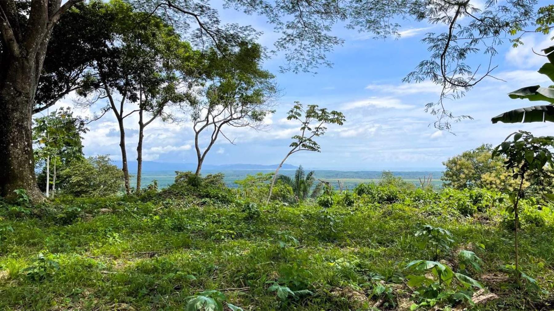 Stunning Ocean View Property, Ojochal, Bahia Ballena, Osa, Puntarenas, Costa Rica 60501