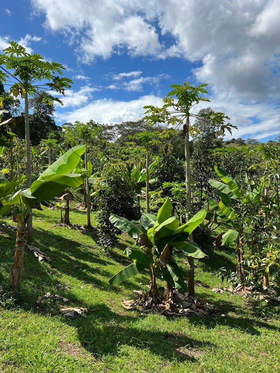 Mountain View Fruit Farm — photo 13 of 16