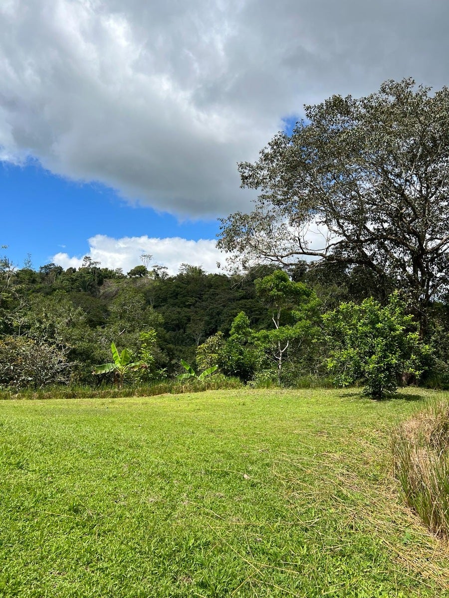 Mountain View Fruit Farm — photo 16 of 16