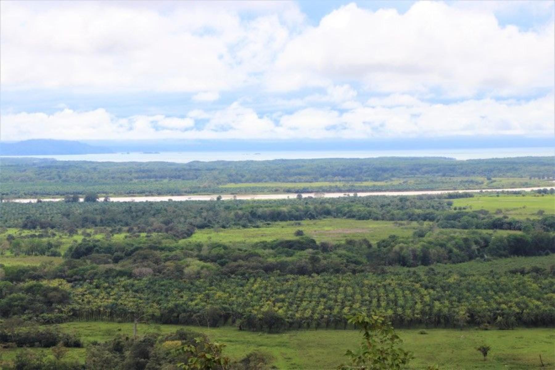 Stunning Ocean View Property, Chontales, Ojochal, Puerto Cortés, Osa, Puntarenas, Costa Rica 60501, Chontales