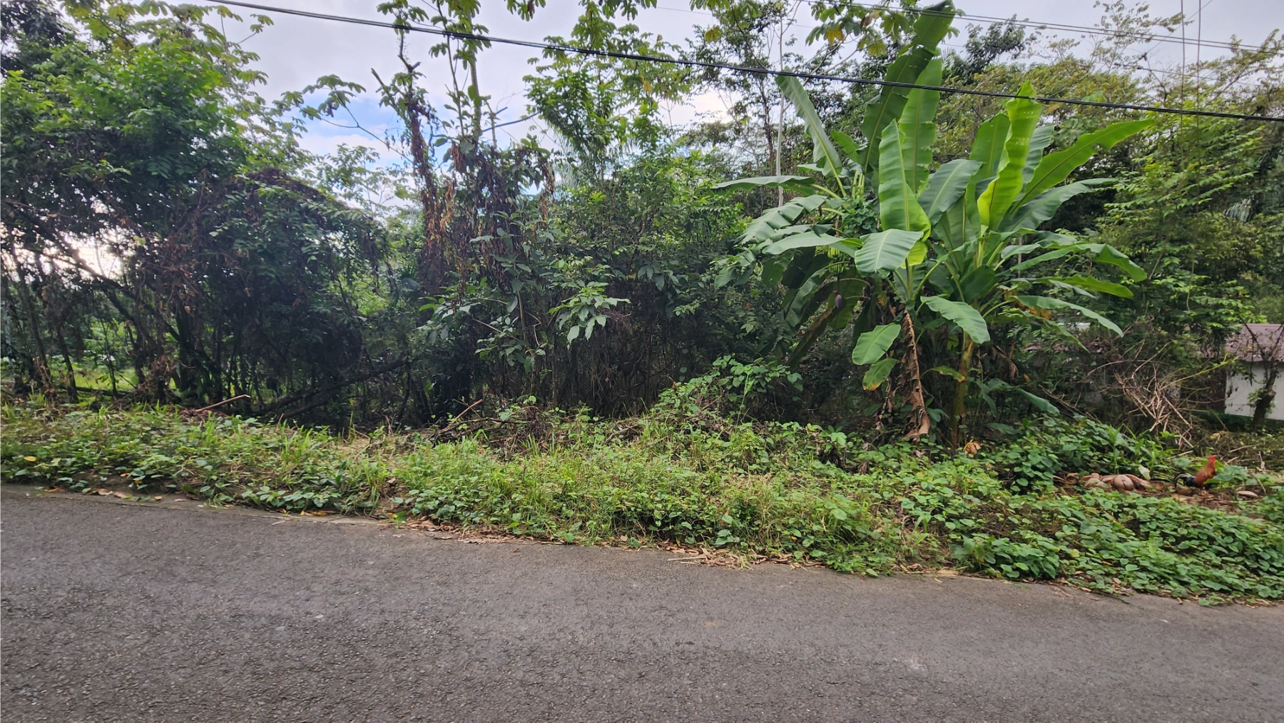 Prime Location Lot, Manuel Antonio, Manuel Antonio, Quepos, Puntarenas, Costa Rica 60601