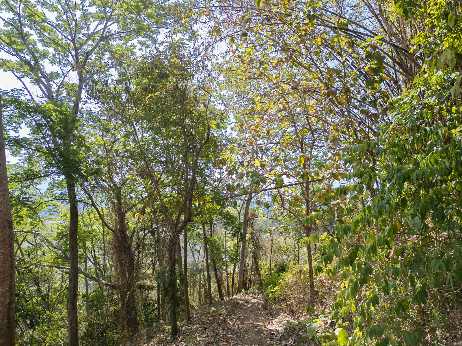 Ocean View Land for Sale — photo 3 of 12