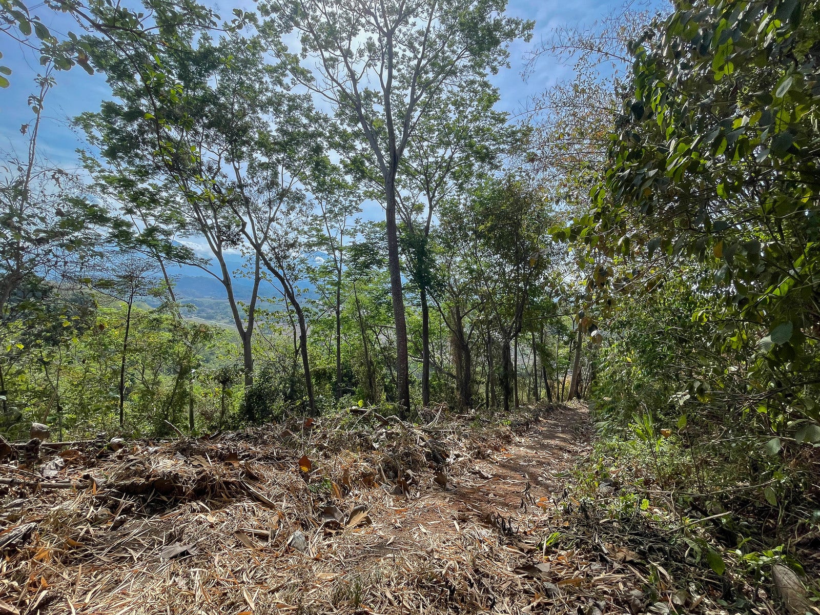 Ocean View Land for Sale — photo 2 of 12