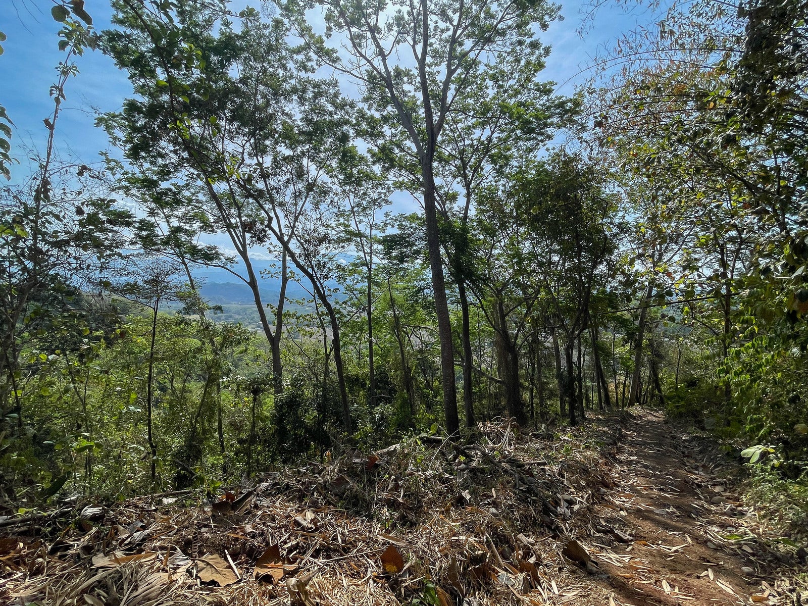 Ocean View Land for Sale — photo 4 of 12