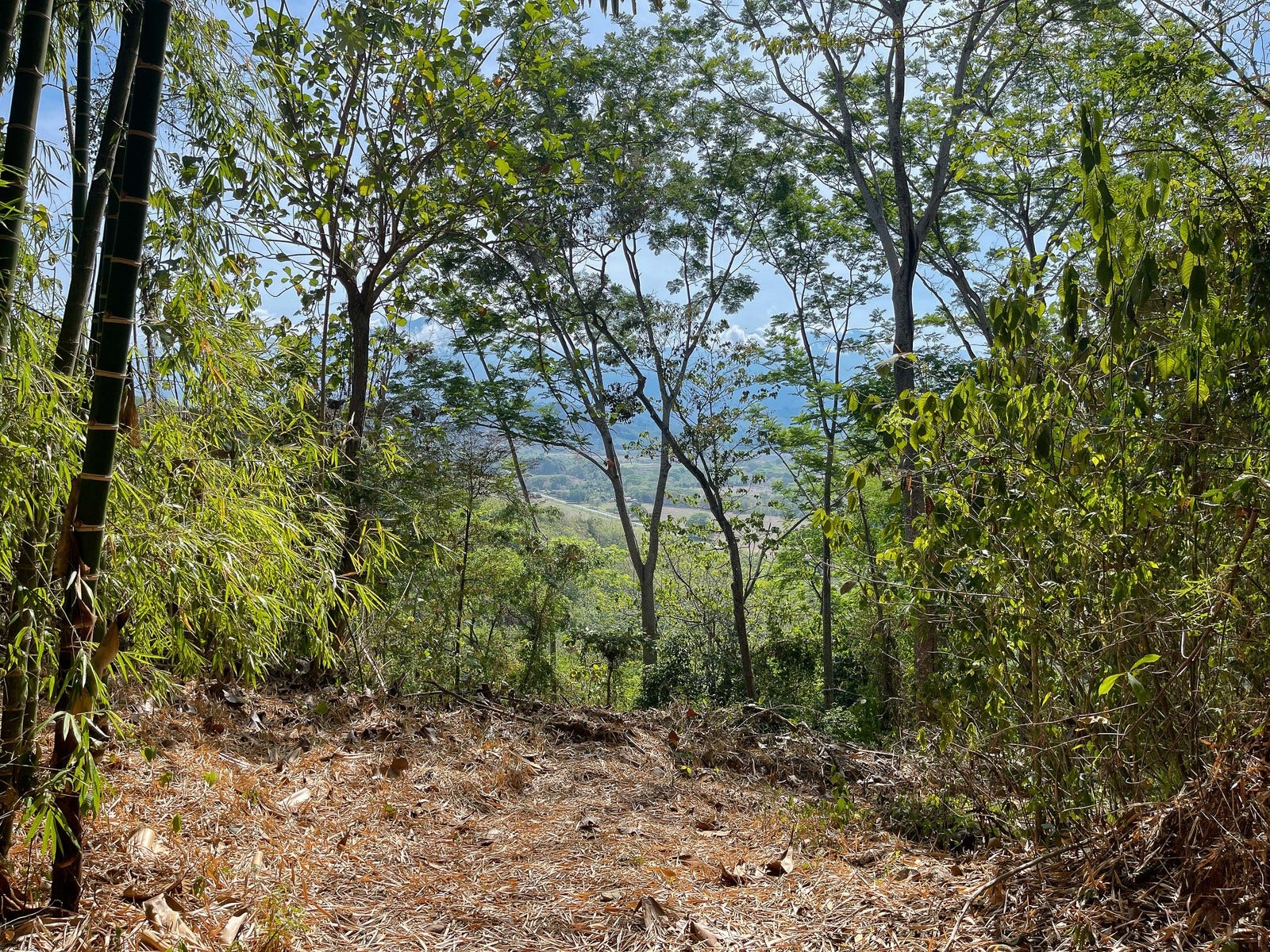 Ocean View Land for Sale — photo 5 of 12