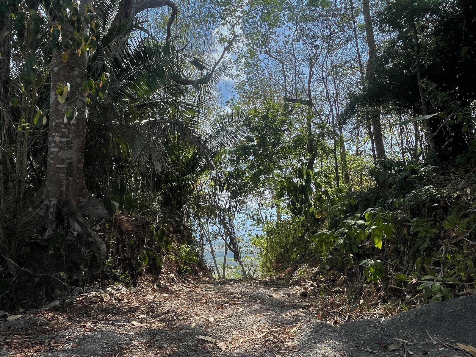 Ocean View Land for Sale — photo 6 of 12