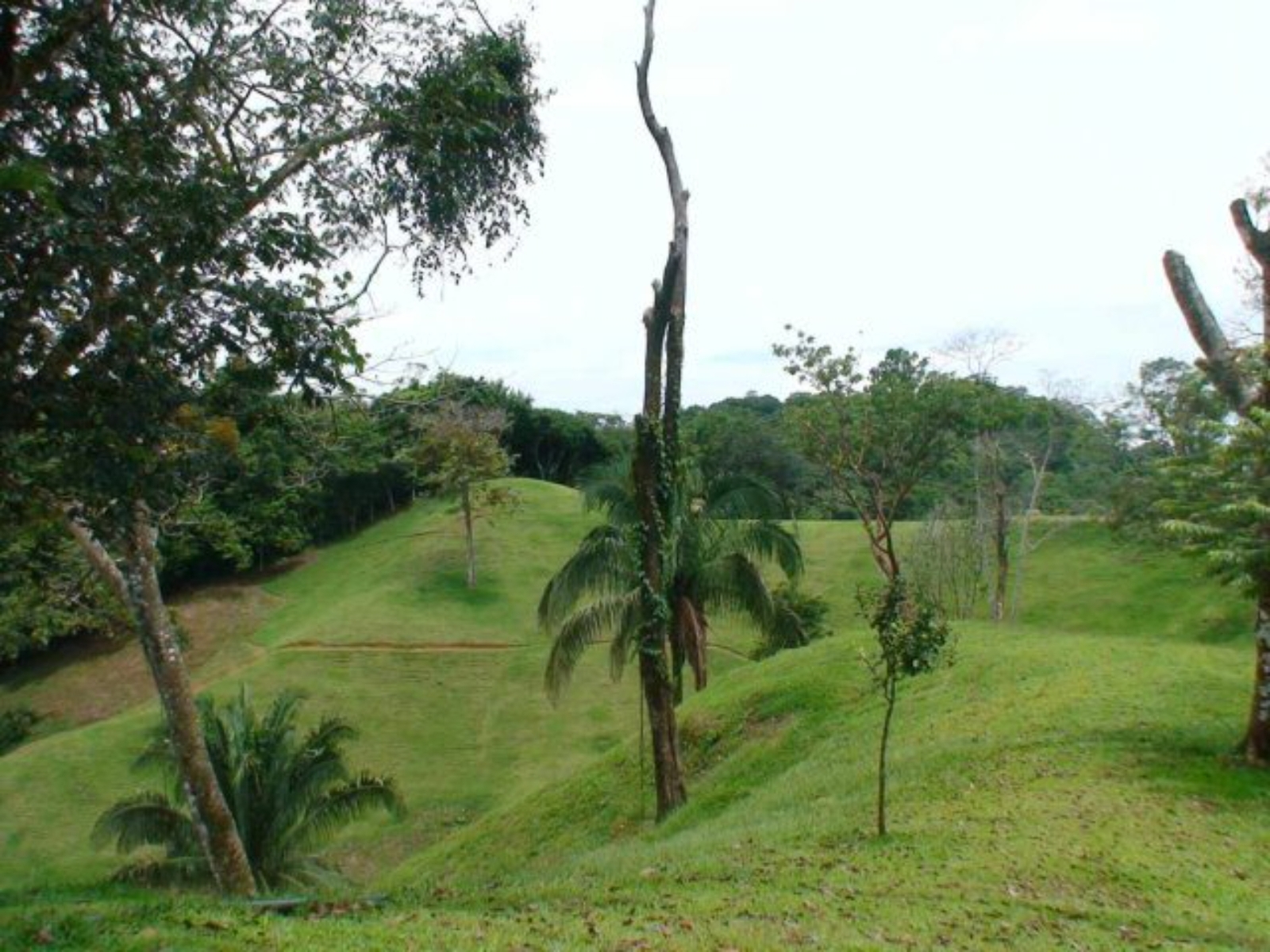 Unparalleled Development Property, Manuel Antonio, Quepos, Quepos, Puntarenas, Costa Rica 60601