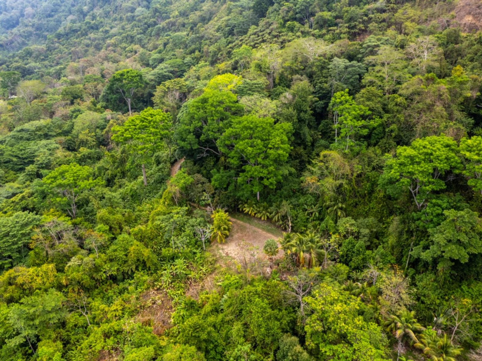 Ocean View Land With Existing Casita, Lagunas, Dominical, Savegre, Osa, Puntarenas, Costa Rica 60602, Lagunas