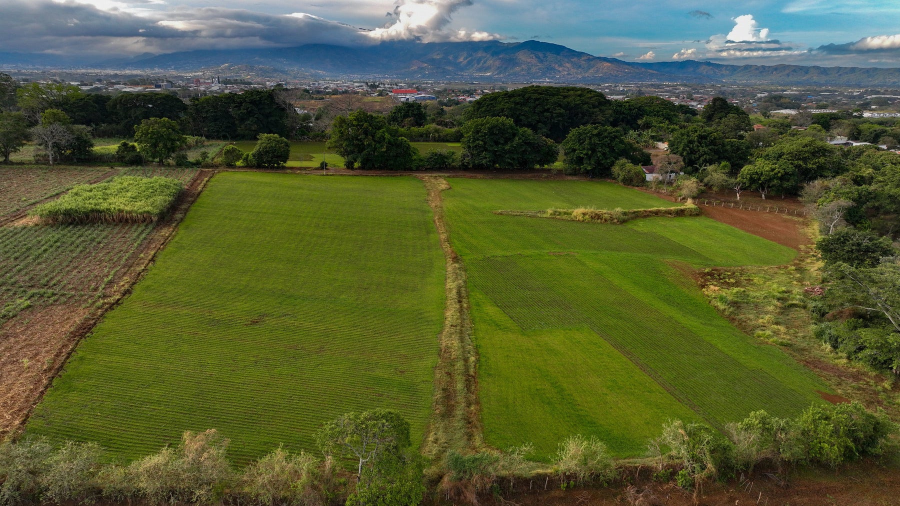 Residential Development Land — photo 6 of 8