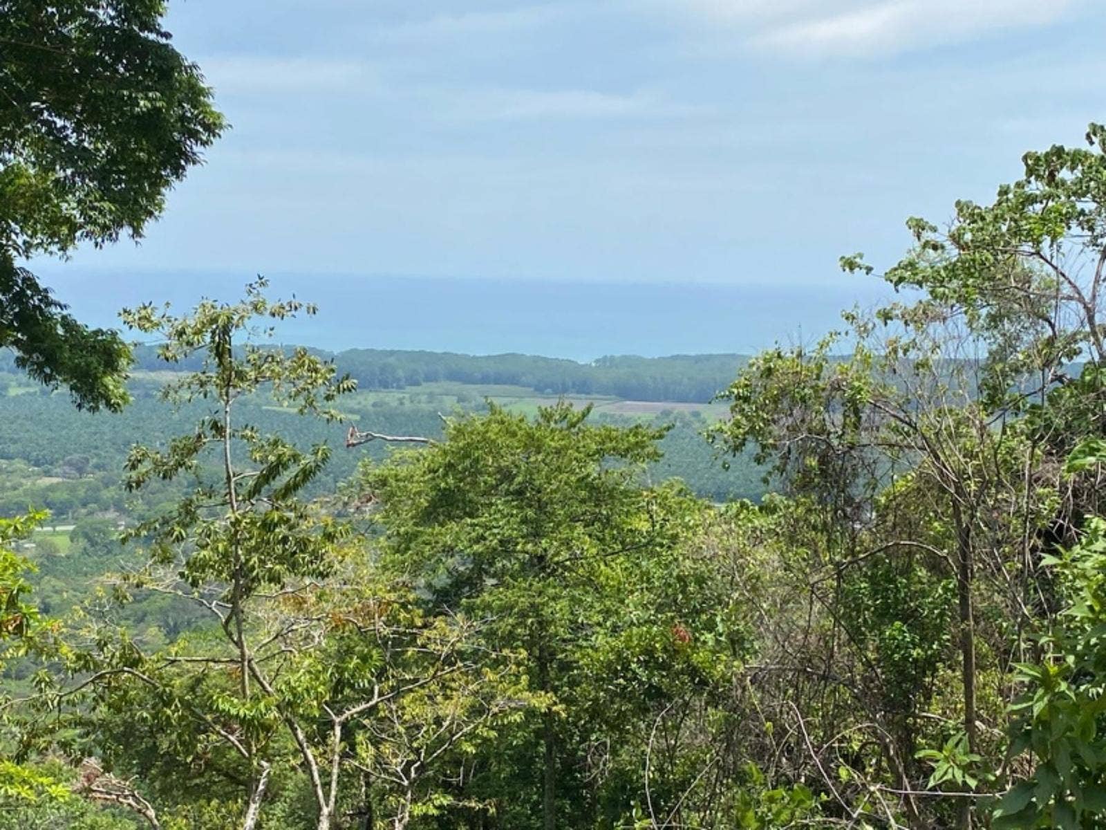 Hills of Potalon Ocean View Parcel — foto 3 de 14