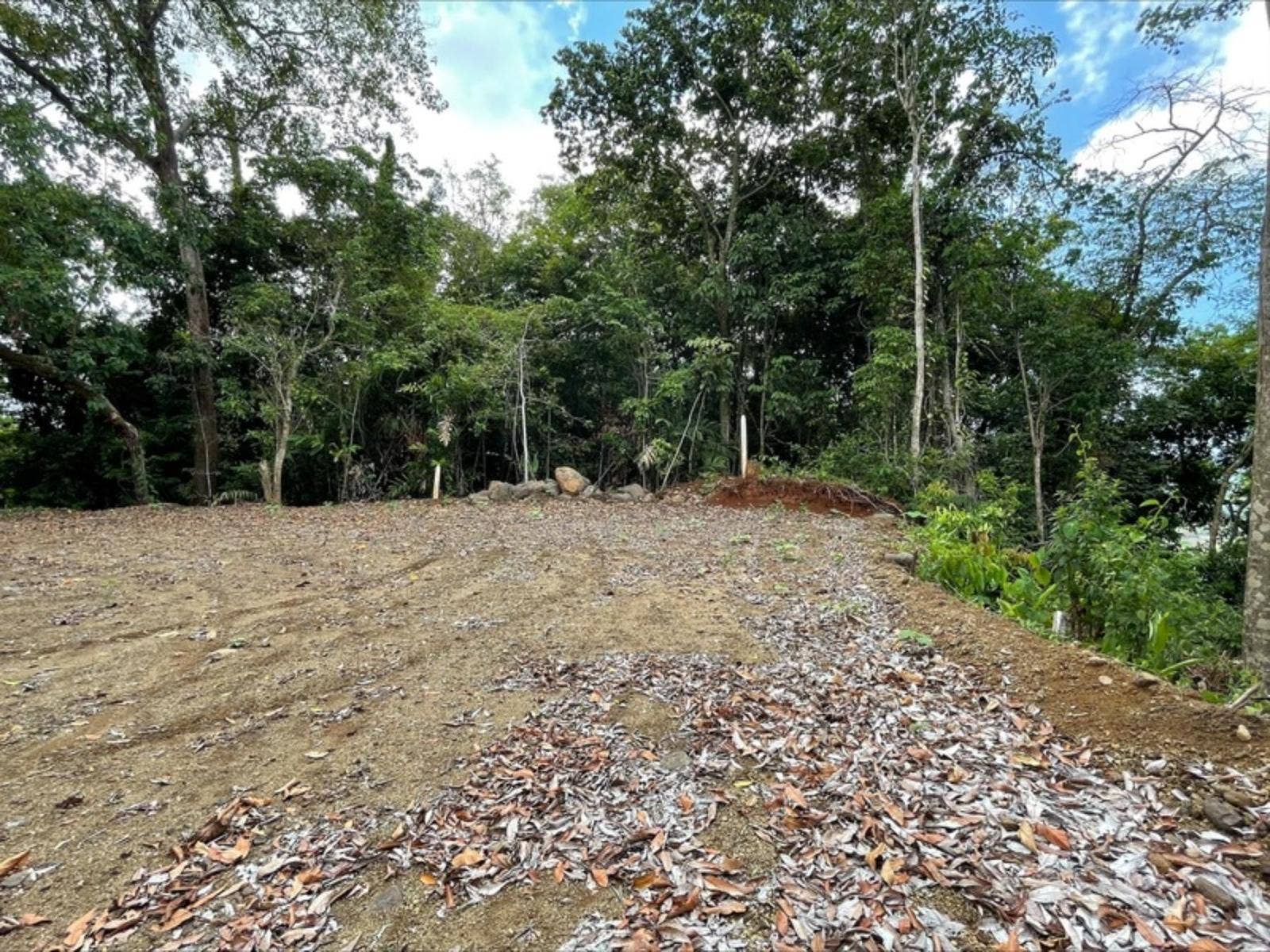 Hills of Potalon Ocean View Parcel — foto 4 de 14