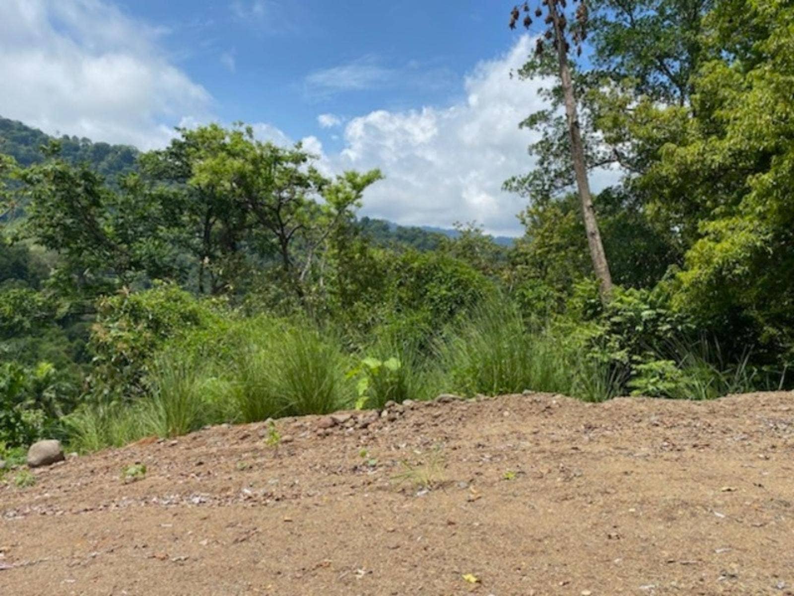 Hills of Potalon Ocean View Parcel — foto 5 de 14