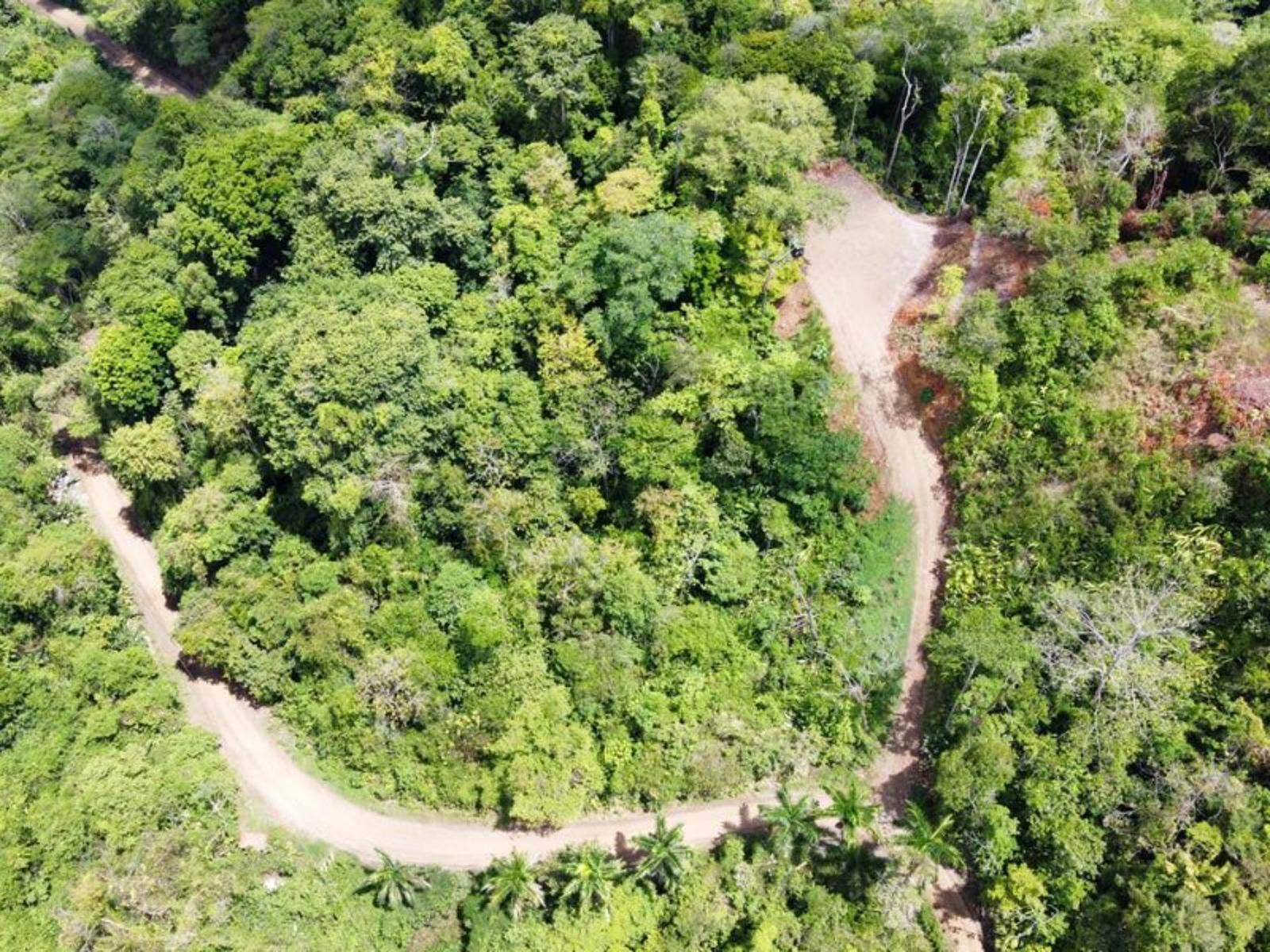 Hills of Potalon Ocean View Parcel — foto 8 de 14