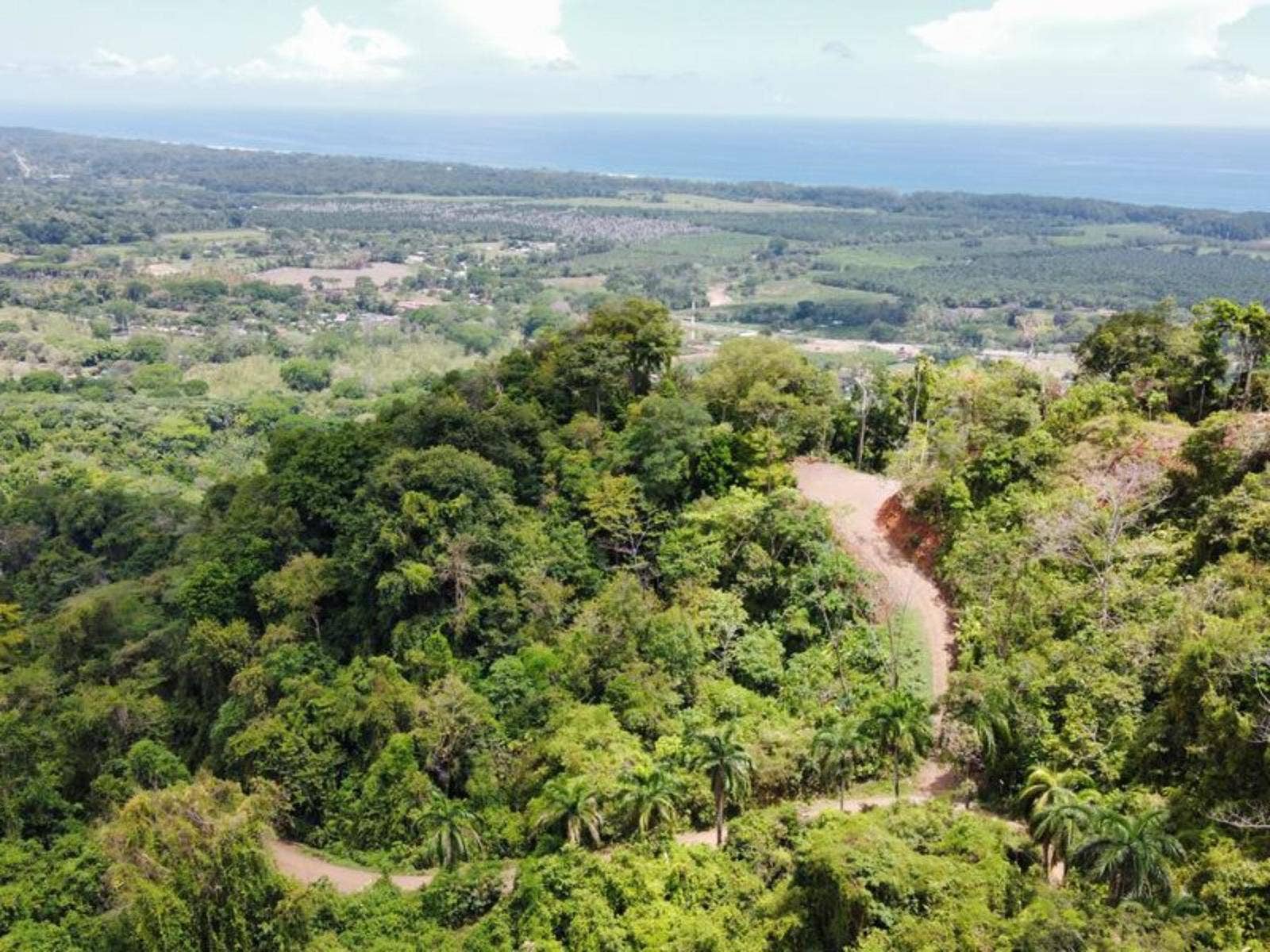 Hills of Potalon Ocean View Parcel — foto 9 de 14