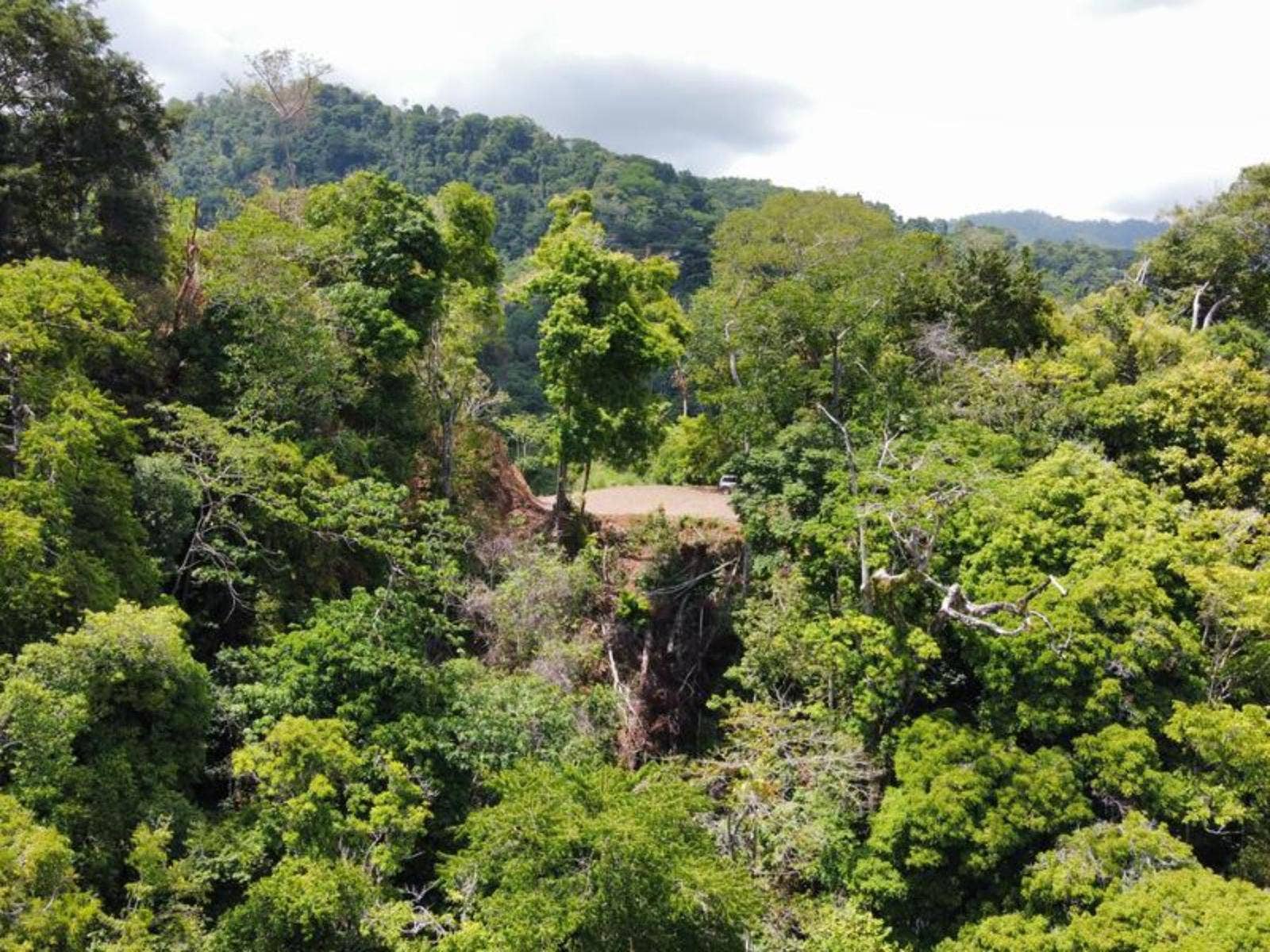 Hills of Potalon Ocean View Parcel — foto 14 de 14