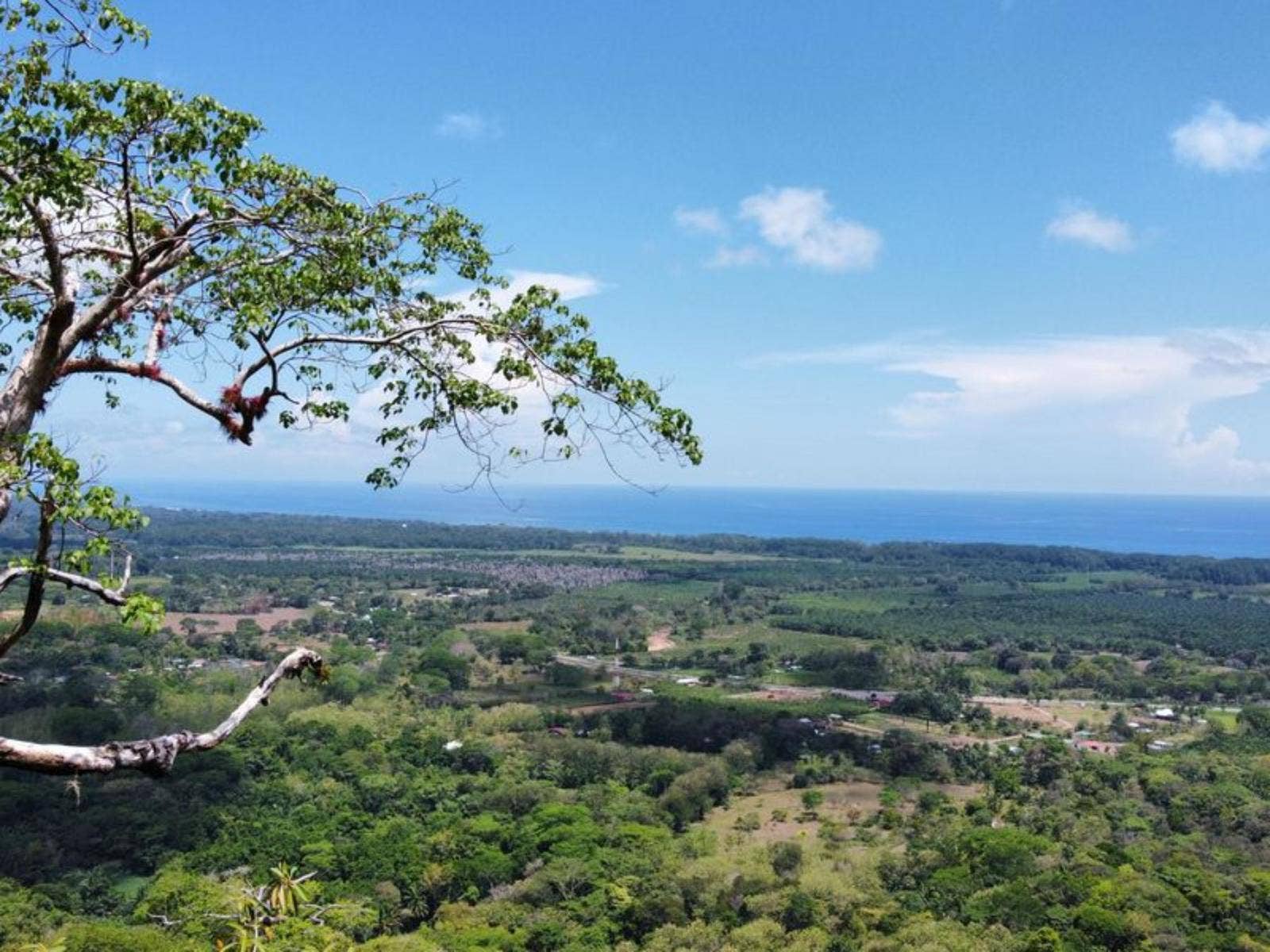 Hills of Potalon Ocean View Parcel — foto 13 de 14
