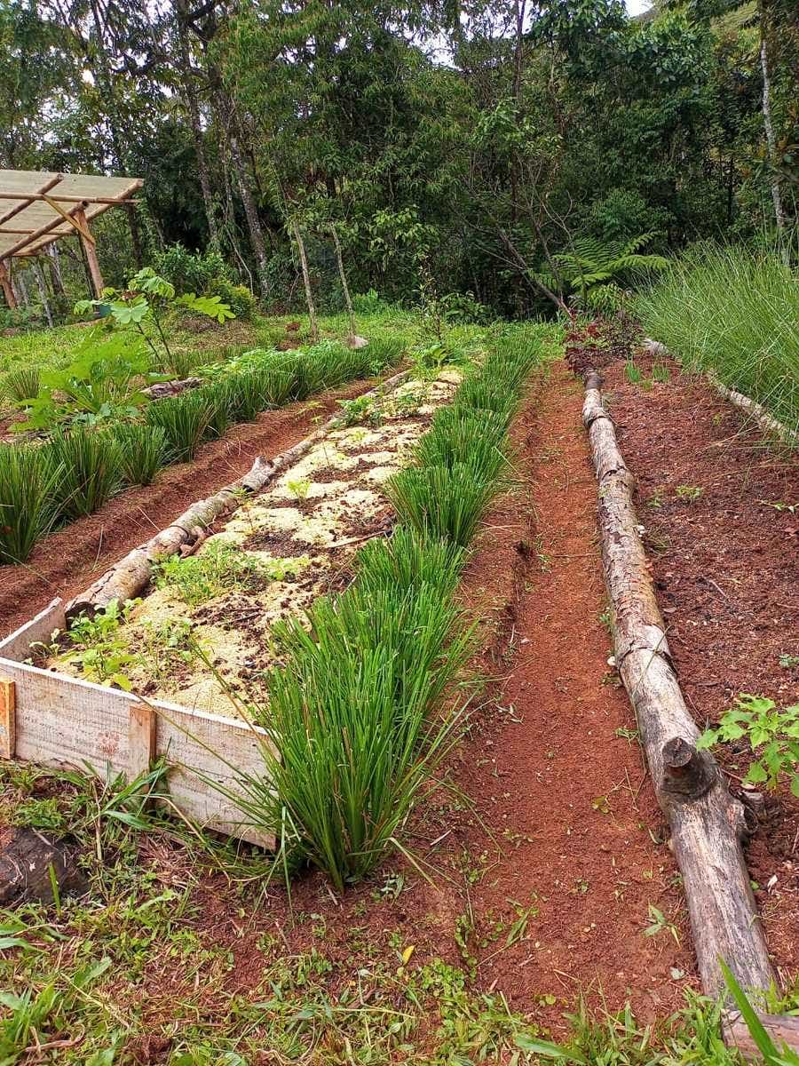 Permaculture Farm — photo 4 of 19