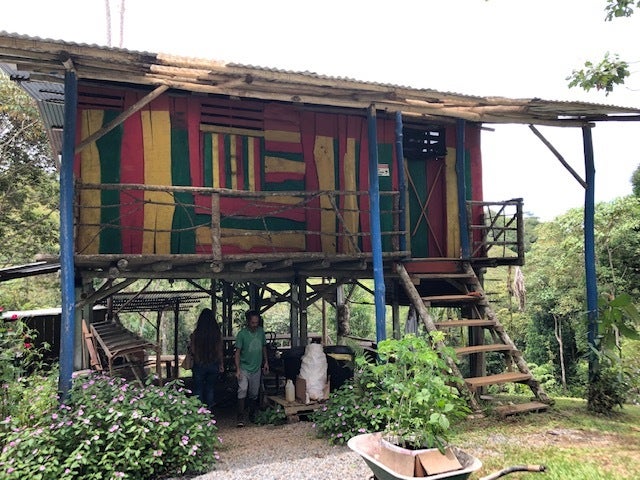 Permaculture Farm — photo 6 of 19