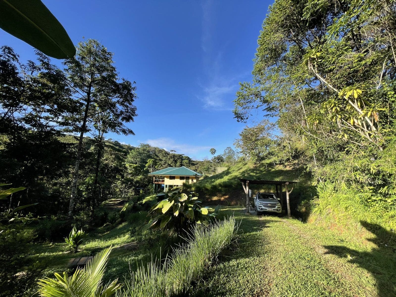 Permaculture Farm — photo 8 of 19
