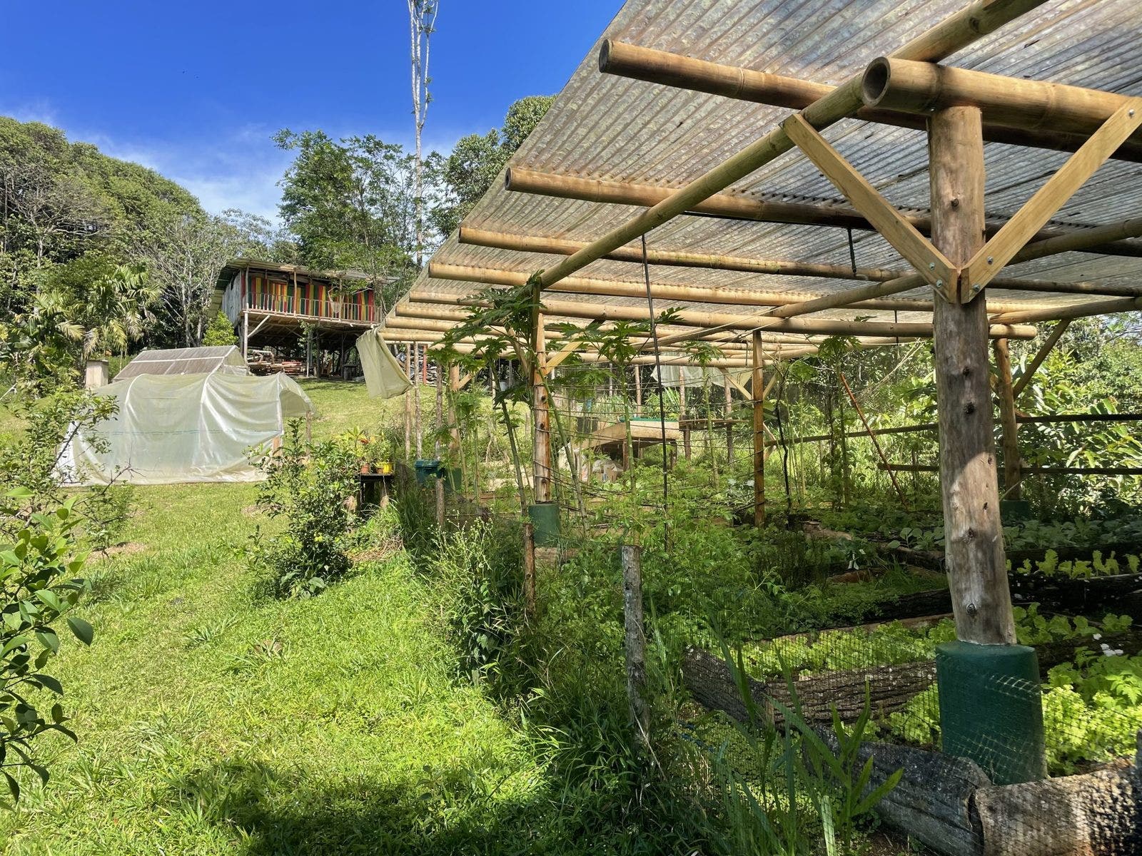 Permaculture Farm — photo 9 of 19