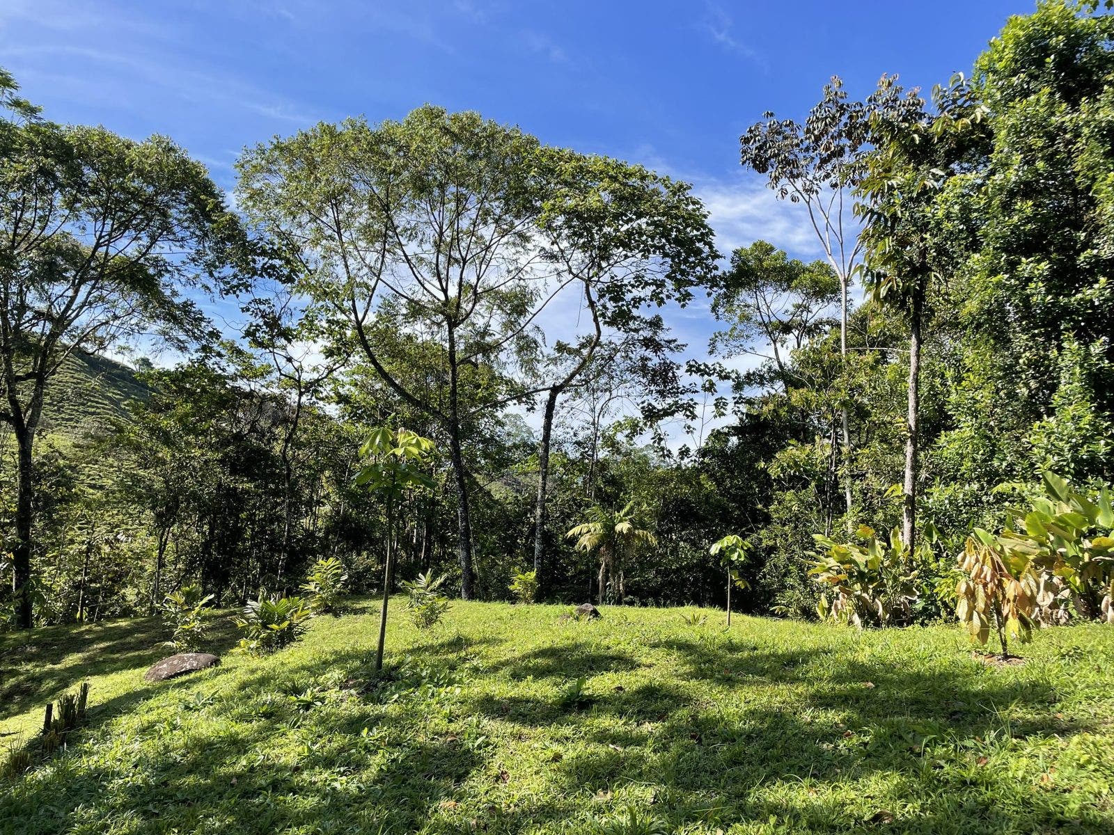 Permaculture Farm — photo 11 of 19